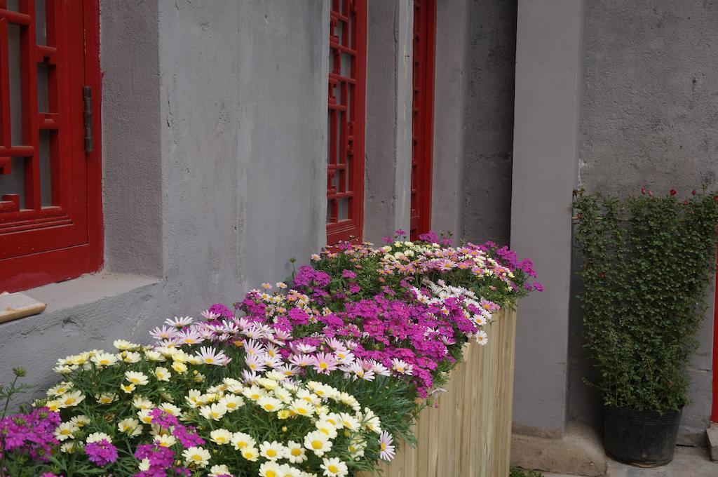Songy Hundred-year Courtyard 3*