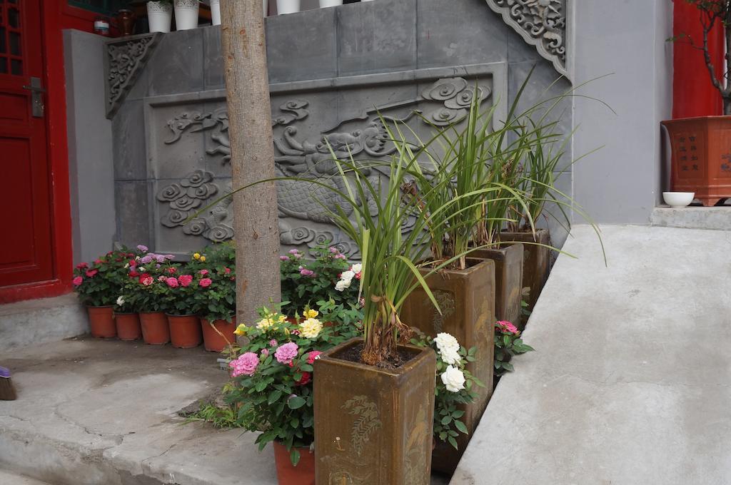 Songy Hundred-year Courtyard